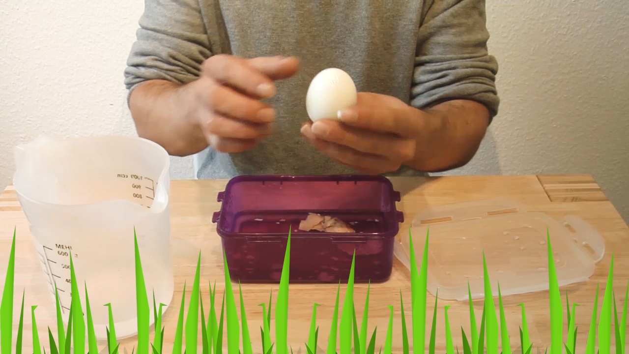 MEgional mit Ei-Hacks und Ideen, was man mit Eiern anstellen kann MEgional mit Ei-Hacks und Ideen, was man mit Eiern anstellen kann